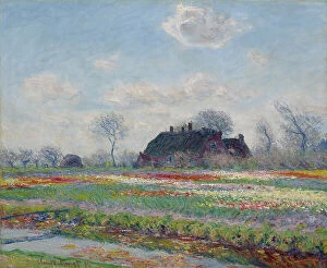 Tulipa Collection: Tulip Fields At Sassenheim, 1886. Creator: Claude Monet