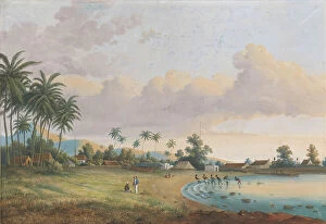 Local People Collection: View of Carnation Java, 1838-1898. Creator: Charles William Meredith van de Velde