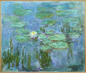 Parisian scenes Collection: Water Lilies, 1914-1917. Creator: Monet, Claude (1840-1926)