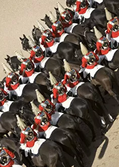 Posters Collection: The Household Cavalry