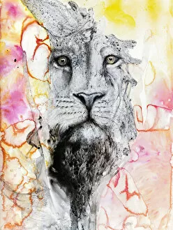Abstract Art and Photography Collection: Illustration Of A Lions Face Surrounded By Colourful Abstract Patterns