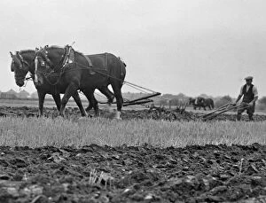 Hillingdon Mouse Mat Collection: Ploughing at Heathrow now the site where the of airport is located. 1935