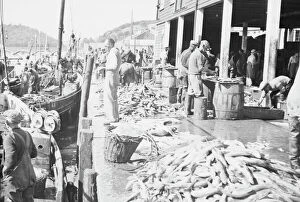 Historical fashion trends Photo Mug Collection: East Looe Fish Market