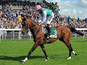York Collection: Frankel With Jockey Tom Queally