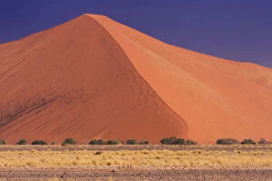 Sossusvlei Area Collection: Dune