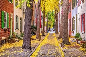 Row Houses Collection: Philadelphia, Pennsylvania, USA alley in the fall