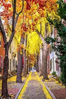 Fall Foliage Collection: Philadelphia, Pennsylvania, USA alley in the fall