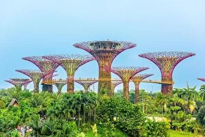 Gardens By The Bay Collection: SINGAPORE - SEPTEMBER 5, 2015: Supertrees at Gardens by the Bay