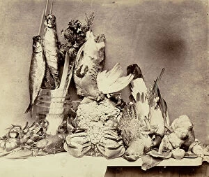 Genre Collection: Still life with fish, birds and vegetables