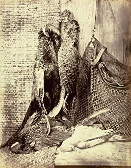 Genre Collection: Still life with gamebirds