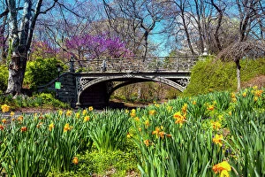 Nature-inspired artwork Mouse Mat Collection: New York City, Manhattan, Springtime Scene at Central Park